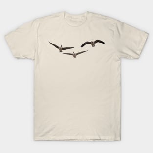 Three Geese T-Shirt